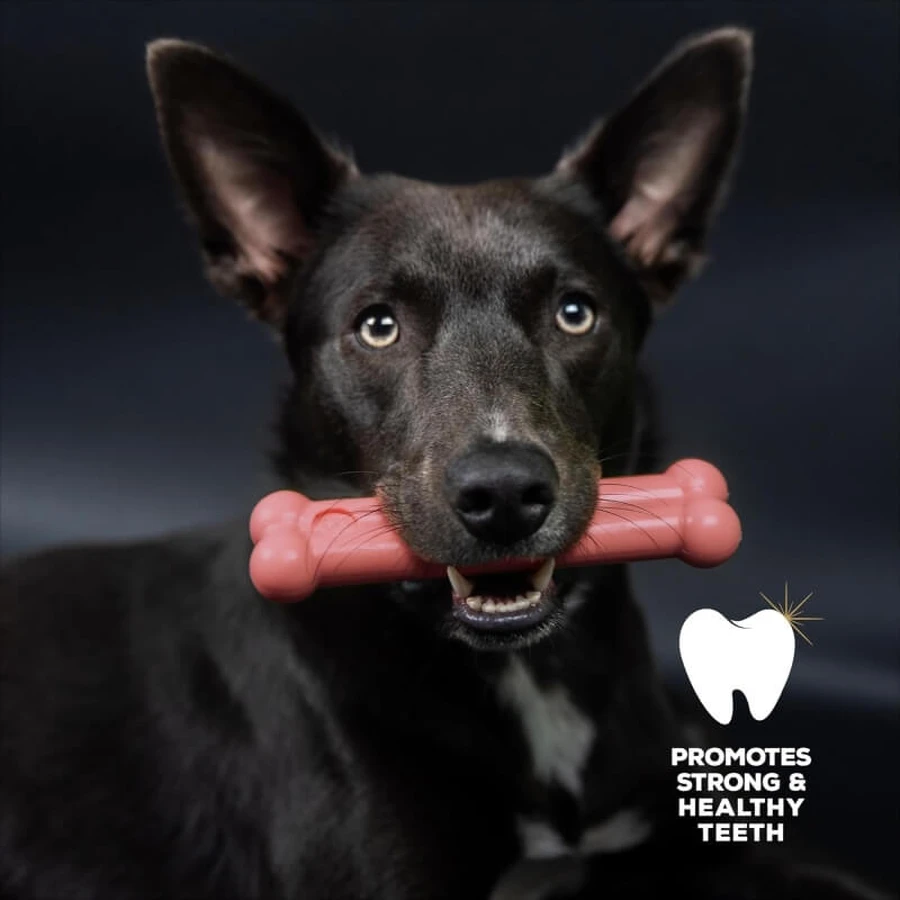 Tasty bone Tasty bone small - jucărie pentru câini cu aromă de șuncă