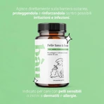 Bau cosmetics healthy &amp; strong skin 60 comprimate - hrană complementară pentru câini