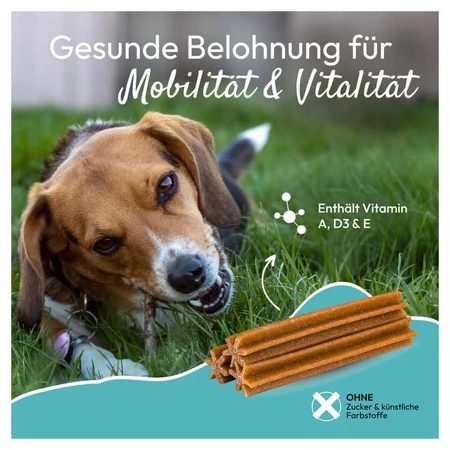 PHA Multivitalstick Cani 7 pz.