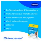 ES Compresses Sterile 10x10cm 8-ply 17-thread 5X2 pcs.