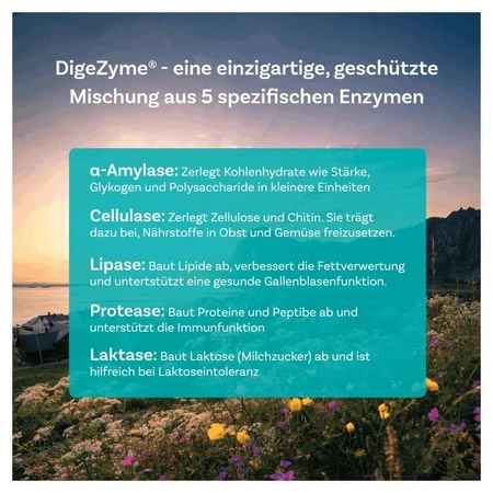 BioDigestin 60 St: ceny i cechy