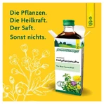 Ridiche neagră Schoenenberger plantă medicinală 3X200 ml