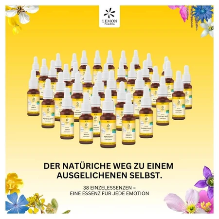 Fiori di Bach n.16 Caprifoglio Biologico 20 ml