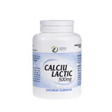 Calcio Láctico 500mg x 50cpr Adya Green