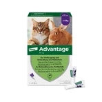 Advantage Spot-On 80 împotriva puricilor pisici mari 4X0.8 ml