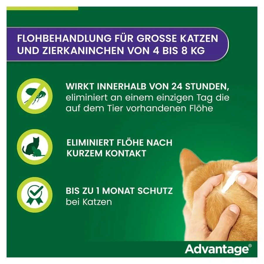 Advantage Spot-On 80 împotriva puricilor pisici mari 4X0.8 ml