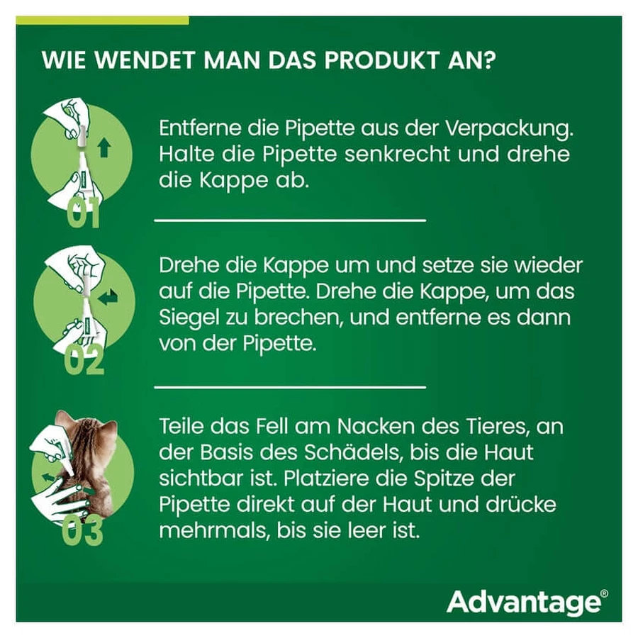 Advantage Spot-On 80 împotriva puricilor pisici mari 4X0.8 ml