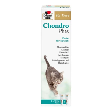 Double Heart For Animals Chondro Plus Pasta dla kotów 2X100 g: ceny i cechy