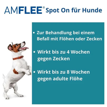 Amflee 67 mg spot-on oplossing voor kleine honden 2-10kg 3 st.