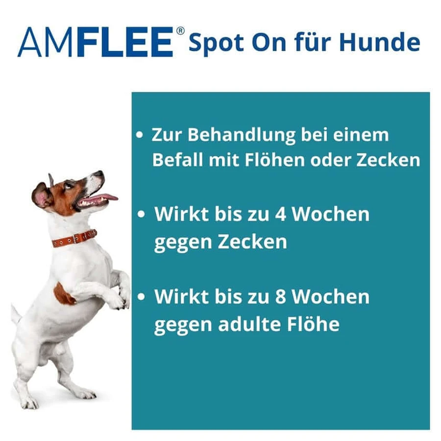 Amflee 67 mg spot-on oplossing voor kleine honden 2-10kg 3 st.