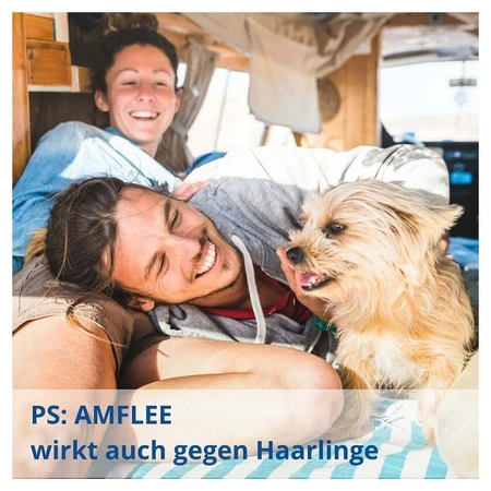 Amflee 67 mg spot-on oplossing voor kleine honden 2-10kg 3 st.