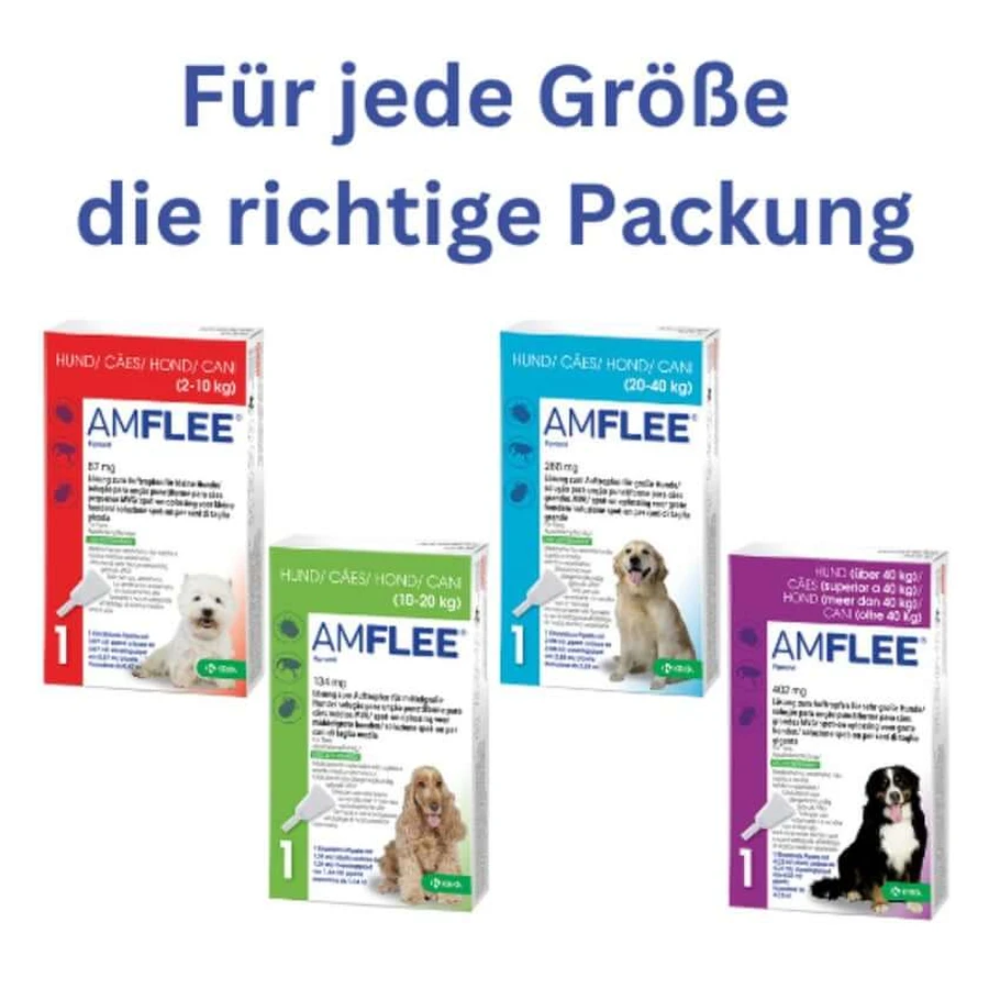 Amflee 67 mg spot-on oplossing voor kleine honden 2-10kg 3 st.