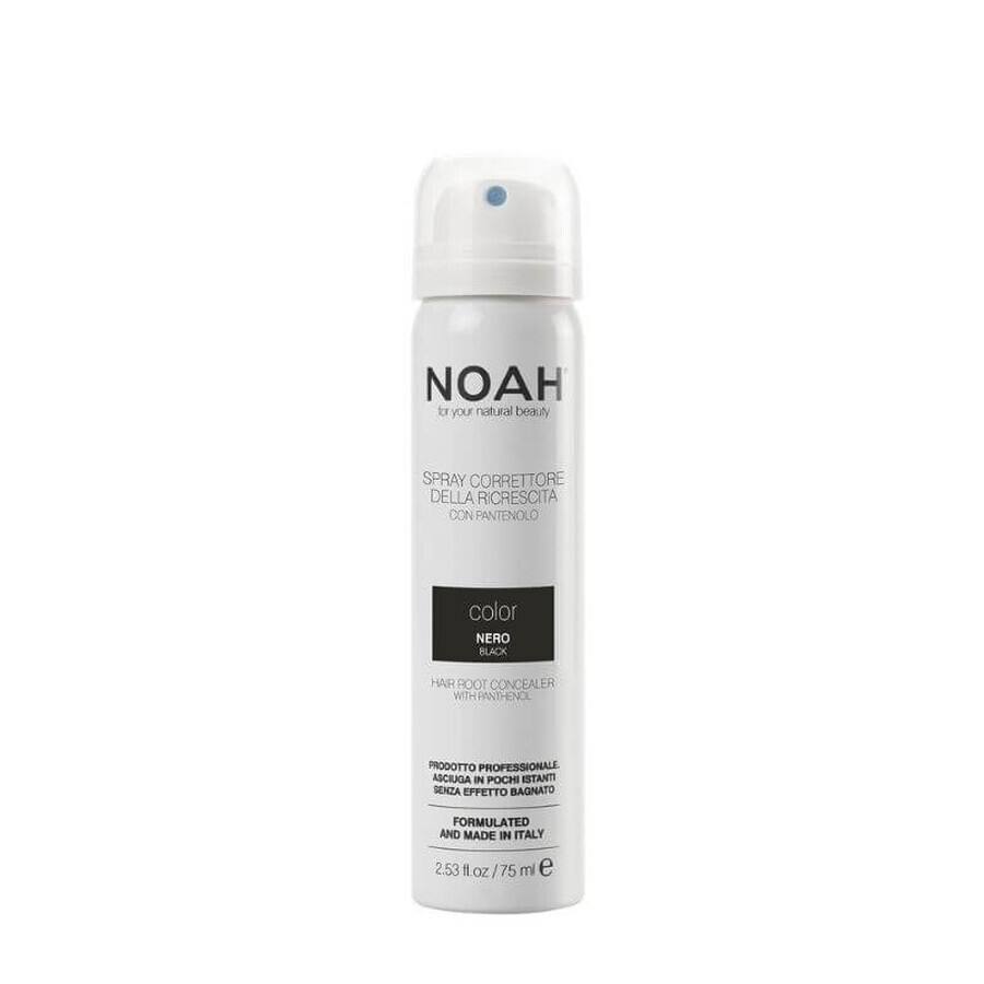 B5 vit corrector spray - ZWART x 75ml, Noah