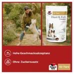 Doppelherz für Tiere Haut & Fell Complex 60 St