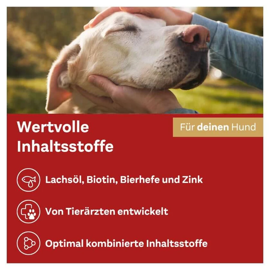 Doppelherz für Tiere Haut & Fell Complex 60 St