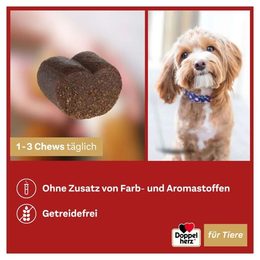 Doppelherz für Tiere Haut & Fell Complex 60 St