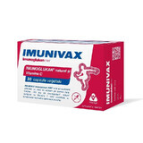 Imunivax Imunoglukan x 30 gélules.