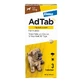 AdTab perro 1,3 - 2,5 kg comprimido masticable 3 uds.
