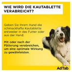 AdTab perro 1,3 - 2,5 kg comprimido masticable 3 uds.