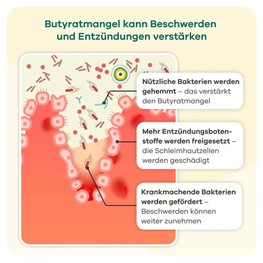butyzol® capsules | Apriwell 60 pcs.