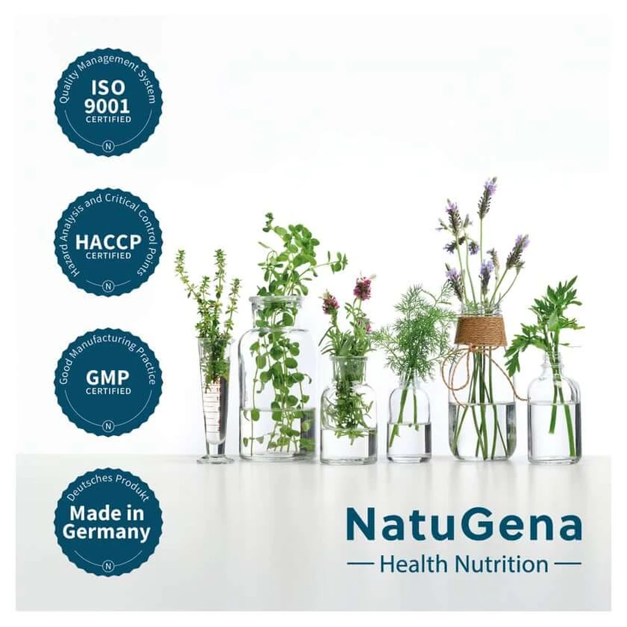 Berberin 500 Myo-inositol & Piperina Cápsulas Veganas 60 Cápsulas