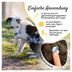 PHA Paw Protection Paste Hond 125 g