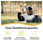 PHA Paw Protection Paste Hond 125 g