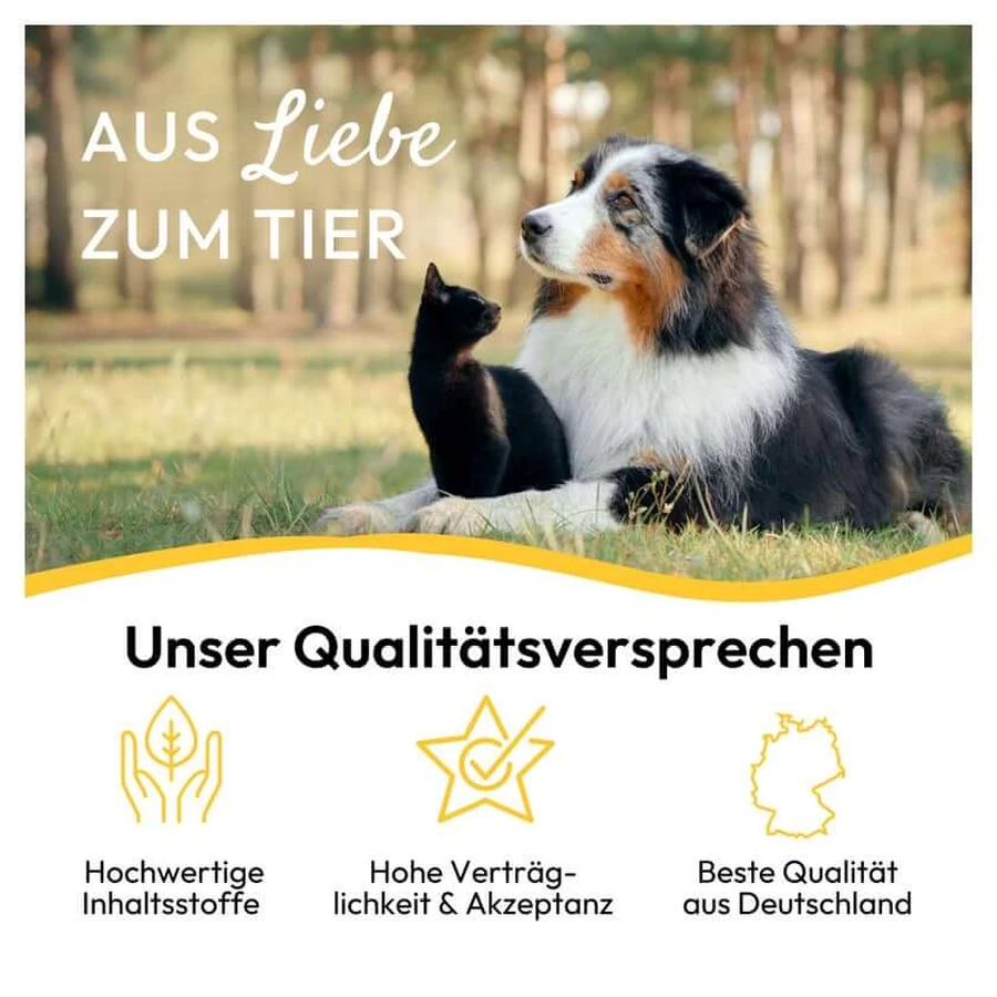 PHA Paw Protection Paste Hond 125 g