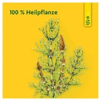 Schoenenberger Naturreiner Heilpflanzensaft Zinnkraut 200 ml