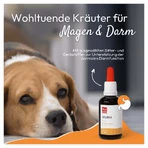 PHA WURM for Dogs and Cats 50 ml