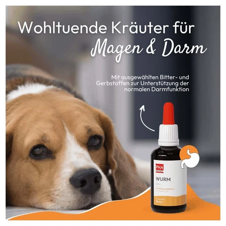 PHA WURM for Dogs and Cats 50 ml