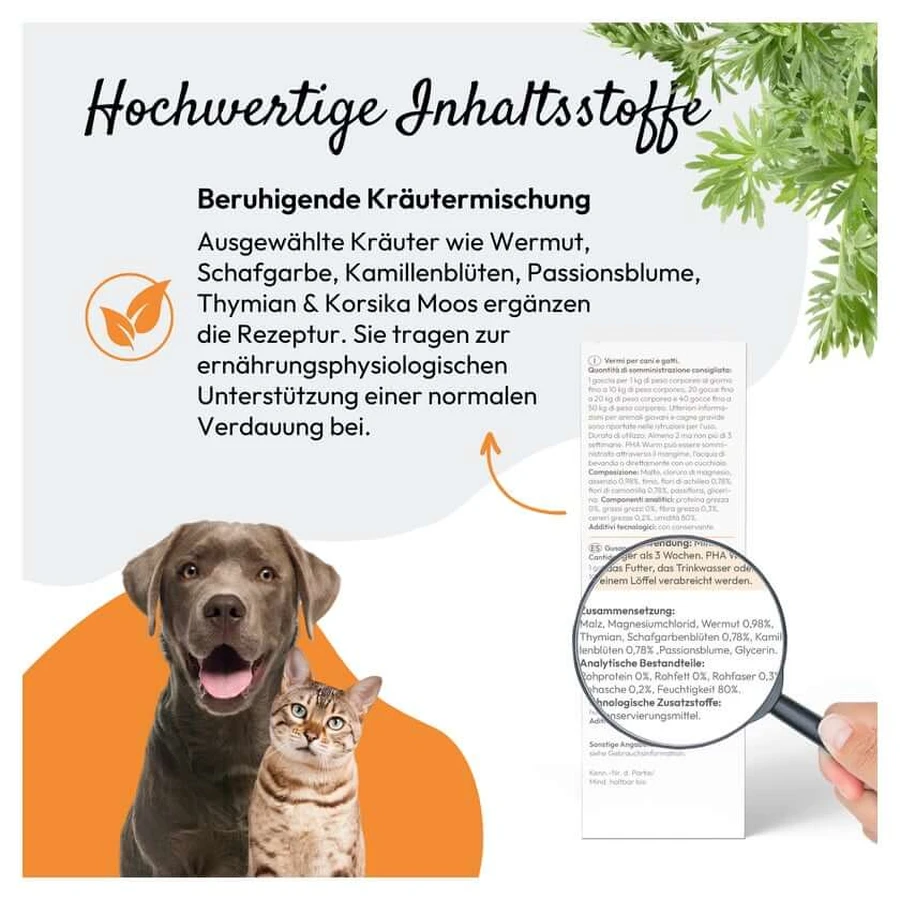 PHA WURM for Dogs and Cats 50 ml