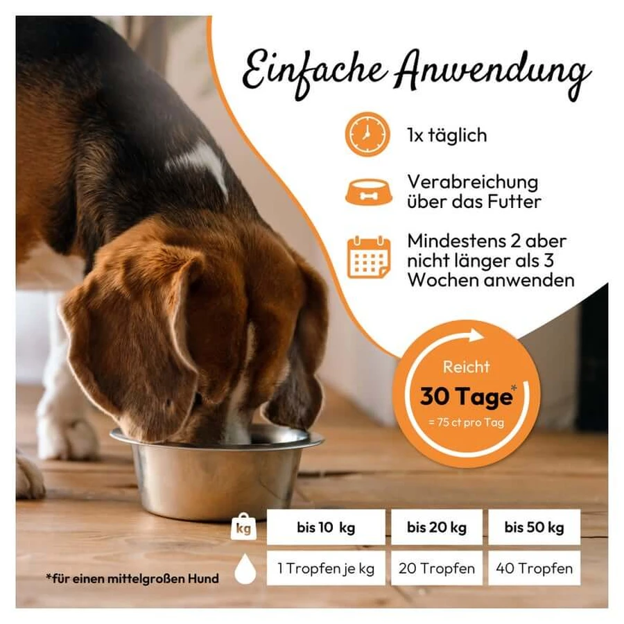 PHA WURM for Dogs and Cats 50 ml