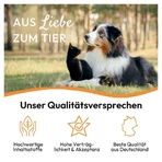 PHA WURM for Dogs and Cats 50 ml