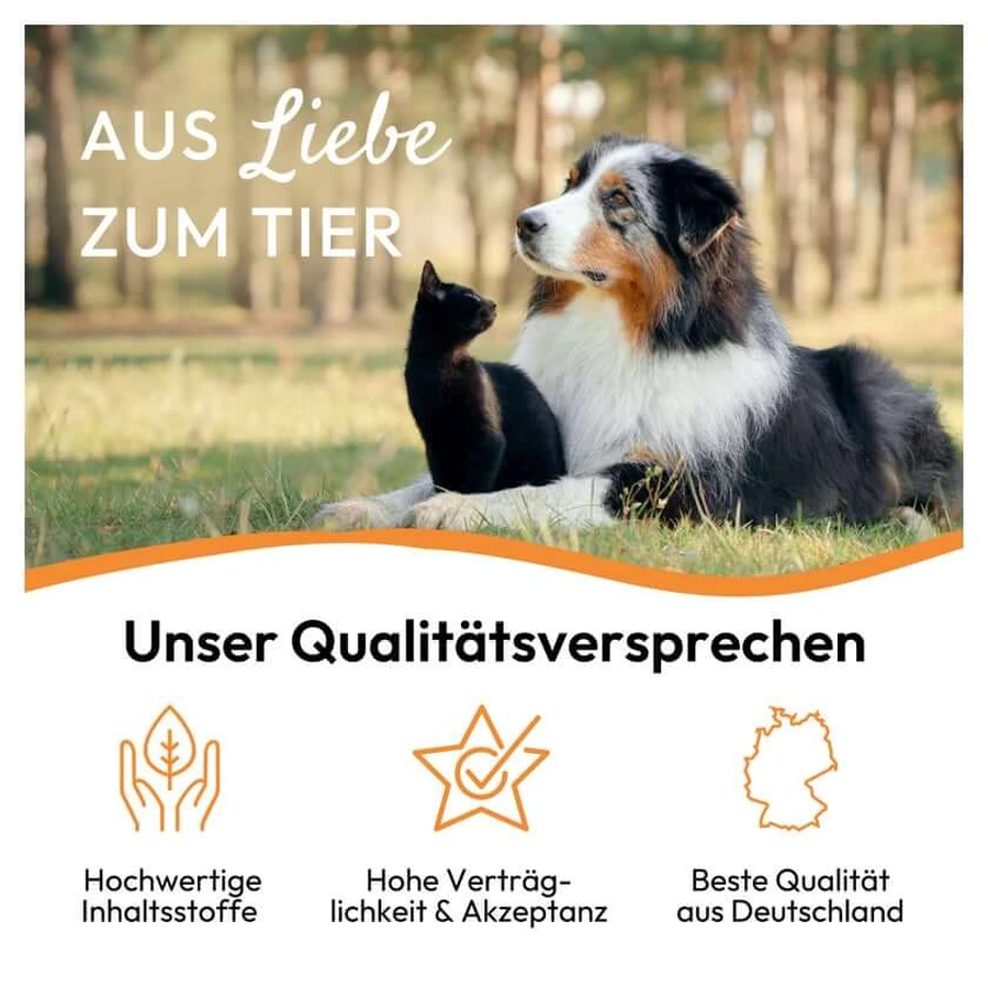 PHA WURM for Dogs and Cats 50 ml
