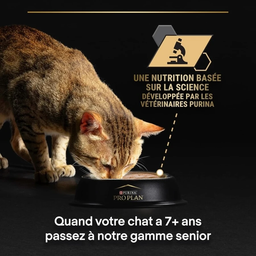 Purina Pro Plan Adult Chicken Pâté – Alleinfuttermittel für ausgewachsene Katzen, 85 g