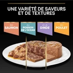 Purina Pro Plan Adult Chicken Pâté – Alleinfuttermittel für ausgewachsene Katzen, 85 g