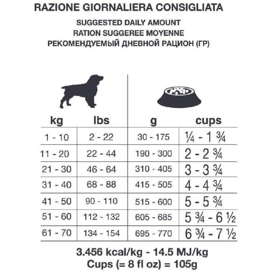 Forza10 Forza 10 Dermo Active Fish – kompletna karma dla psów o wrażliwej skórze i nietolerancjach pokarmowych, 4 kg: ceny i cechy