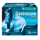 Candioli Gatrocure – suplement dla koni w postaci pasty, 1,2 kg
