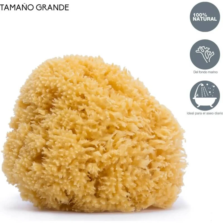 Esponja natural grande Suavinex para bebés a partir de 0 meses