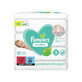 Pampers Toallitas H&#250;medas Sensibles, 4 pach, 208 pcs