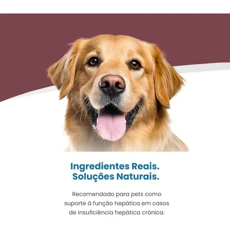 Farmina Vet Life Hepatic Pui – hrană dietetică completă pentru câini cu insuficiență hepatică, 300 g