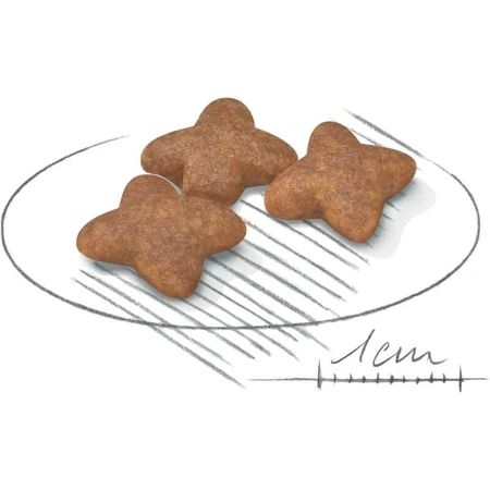 Royal Canin Mini Adult - Aliment complet pour chiens adultes de petite race, 8 kg