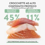 Schesir Born Carnivore Huhn mit Hering und Lachs – Alleinfuttermittel für ausgewachsene Katzen, 255 g