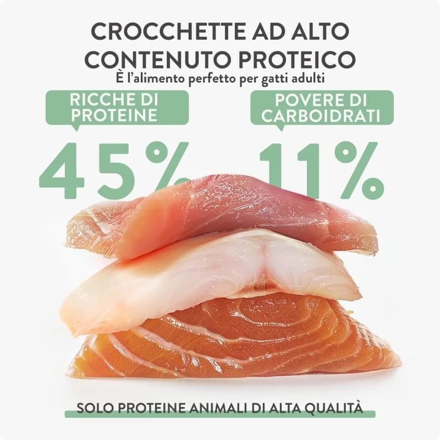 Schesir Born Carnivore Huhn mit Hering und Lachs – Alleinfuttermittel für ausgewachsene Katzen, 255 g