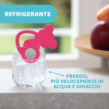 Chicco Fresh - Mordedor refrescante Koala rosa, a partir de los 4 meses