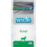 Farmina Vet Life Canine Renal Formula - Alimento dietético completo para perros con insuficiencia renal, 2 kg