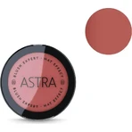 Astra Blush Expert cu efect mat – fard de obraz – nr. 06 Absolute