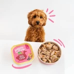 Pienso para cachorros sin cereales Edgard & Cooper con pato y pollo - Alimento completo para cachorros en fase de crecimiento, 150 g