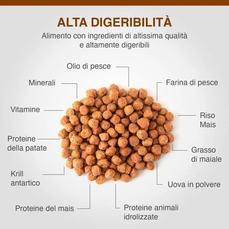Dechra Specific Fid Digestive Support - Alimento dietético completo para gatos con apoyo digestivo y urinario, 400 g